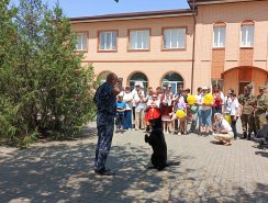 img (7)